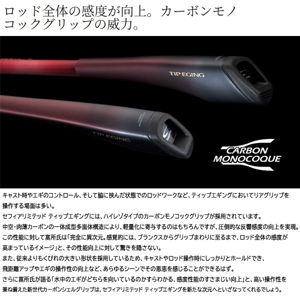26 セフィアリミテッド TIP EGING